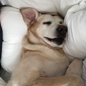 Meet your Posher, Caitlin